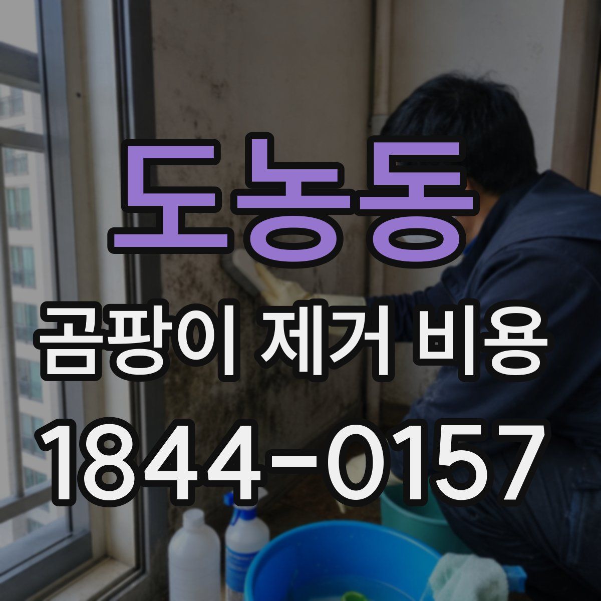 도농동 곰팡이 제거 비용