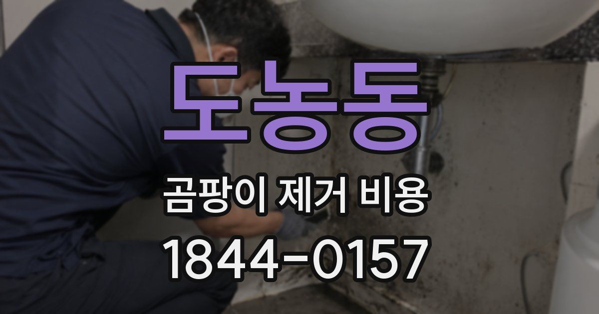 도농동 곰팡이 제거 비용