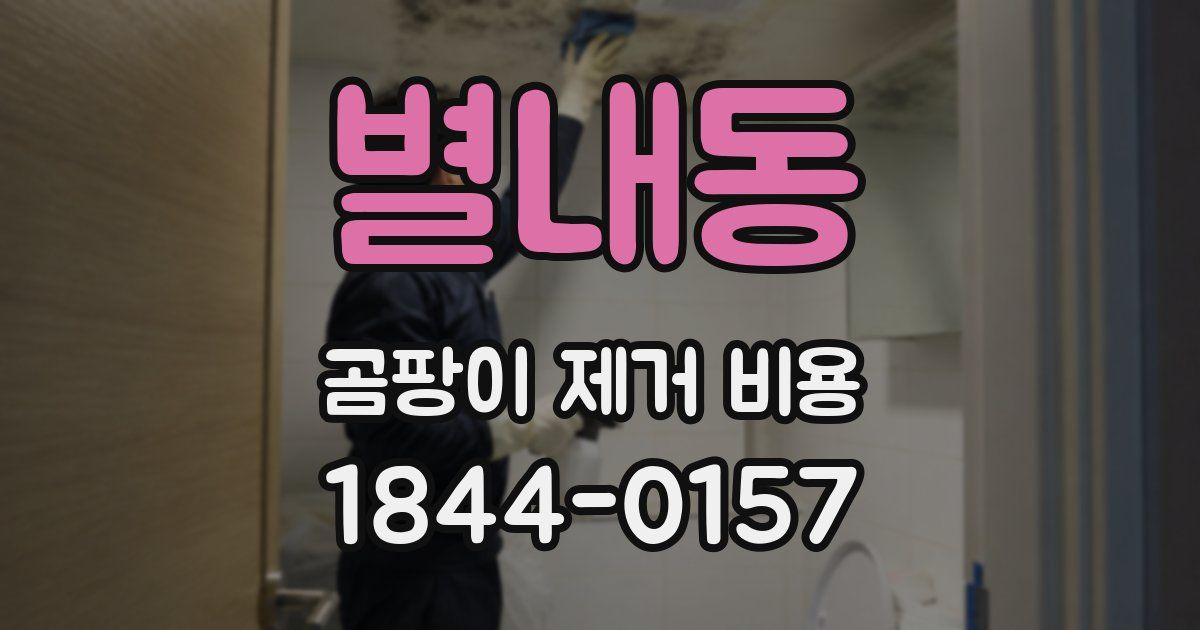 별내동 곰팡이 제거 비용