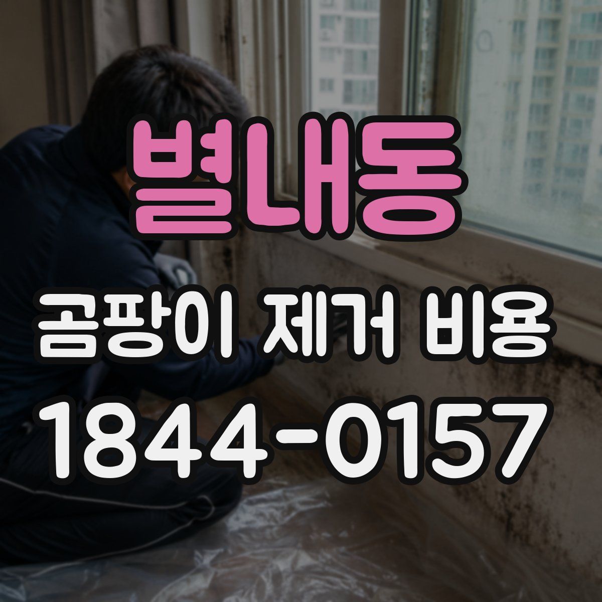 별내동 곰팡이 제거 비용