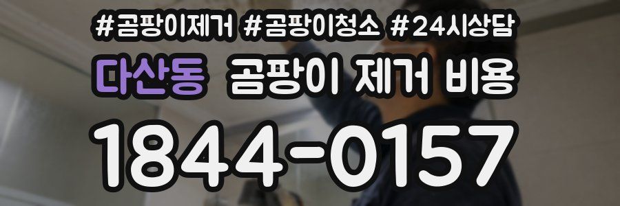 다산동 곰팡이 제거 비용