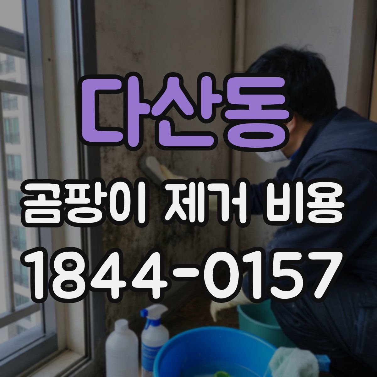 다산동 곰팡이 제거 비용
