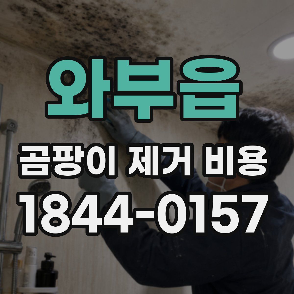 와부읍 곰팡이 제거 비용