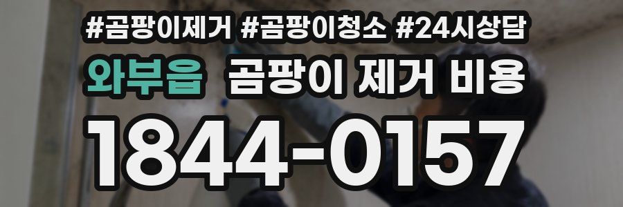 와부읍 곰팡이 제거 비용