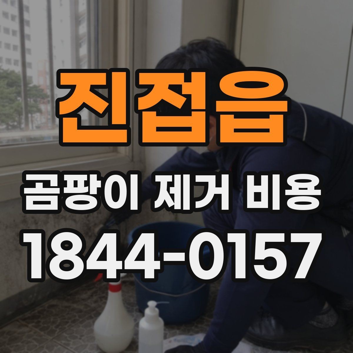 진접읍 곰팡이 제거 비용 베란다 단열 상태가 영향을 주는 경우
