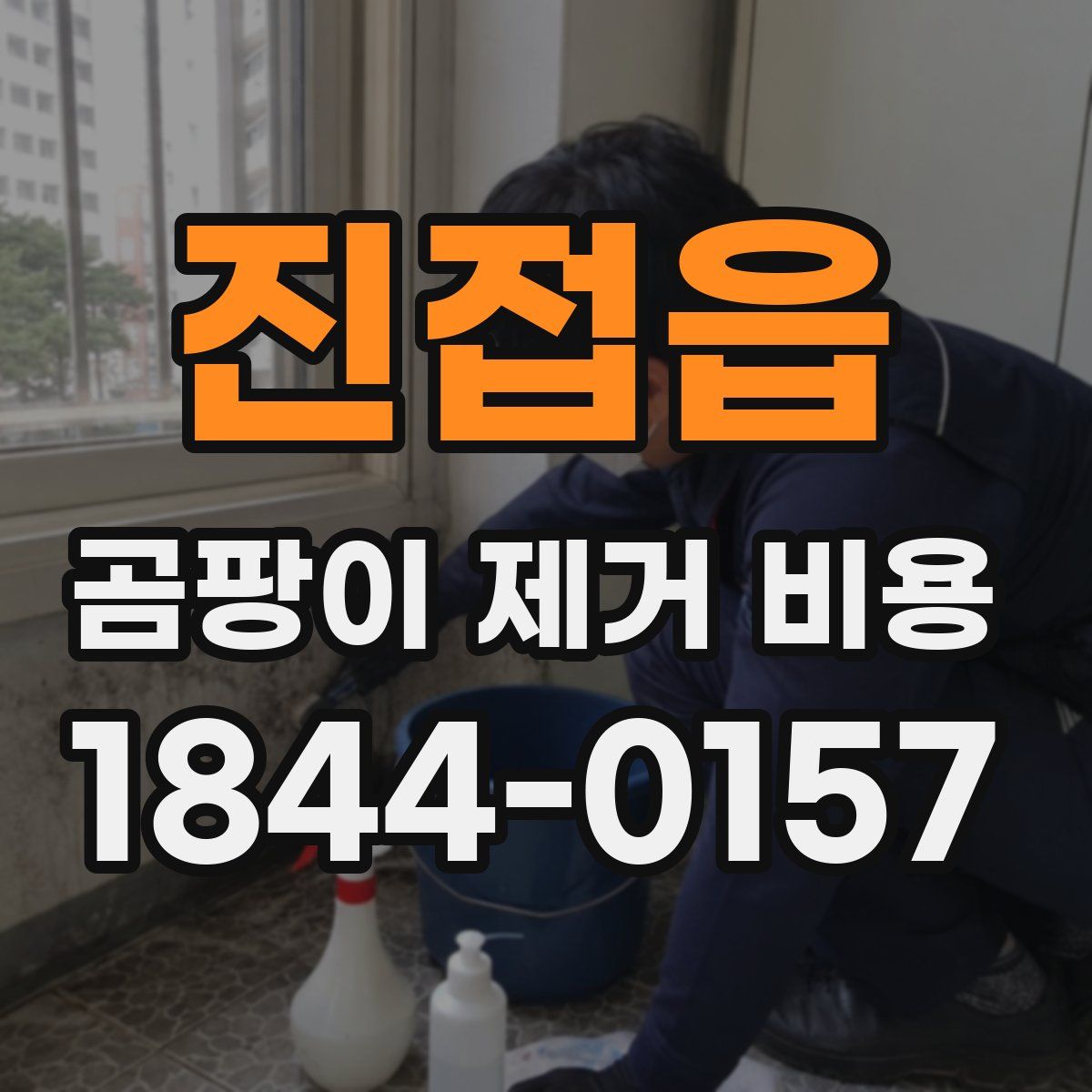 진접읍 곰팡이 제거 비용