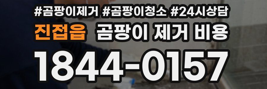 진접읍 곰팡이 제거 비용