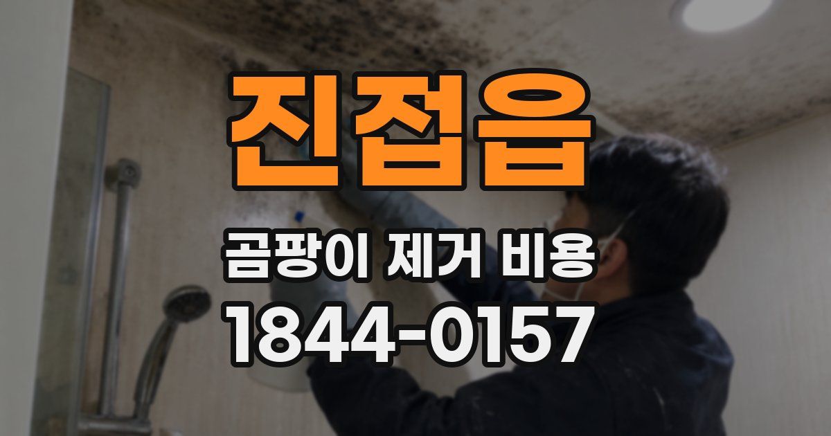 진접읍 곰팡이 제거 비용