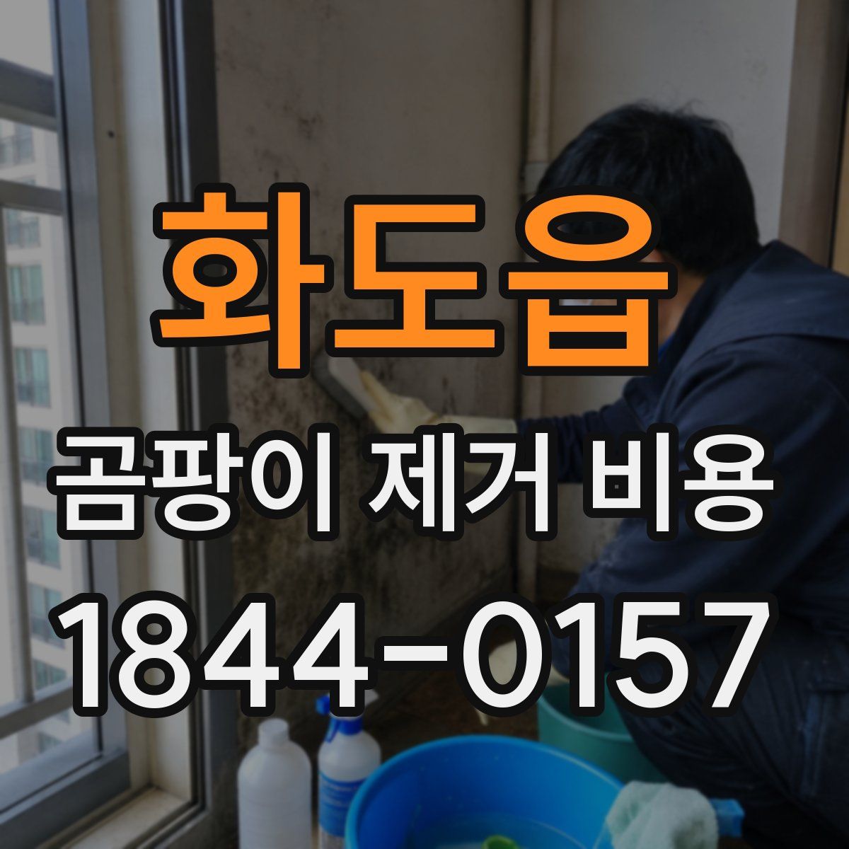 화도읍 곰팡이 제거 비용
