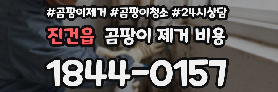 진건읍 곰팡이 제거 비용