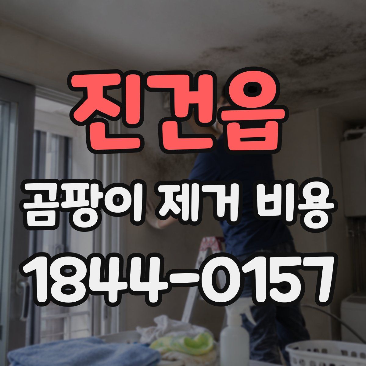 진건읍 곰팡이 제거 비용