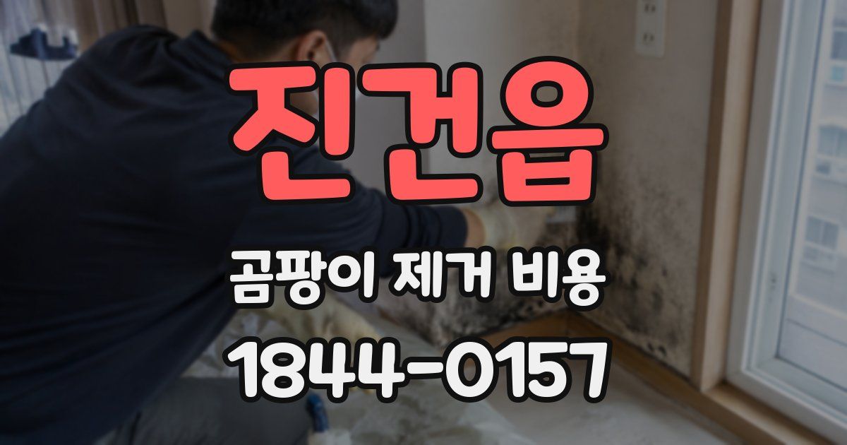 진건읍 곰팡이 제거 비용