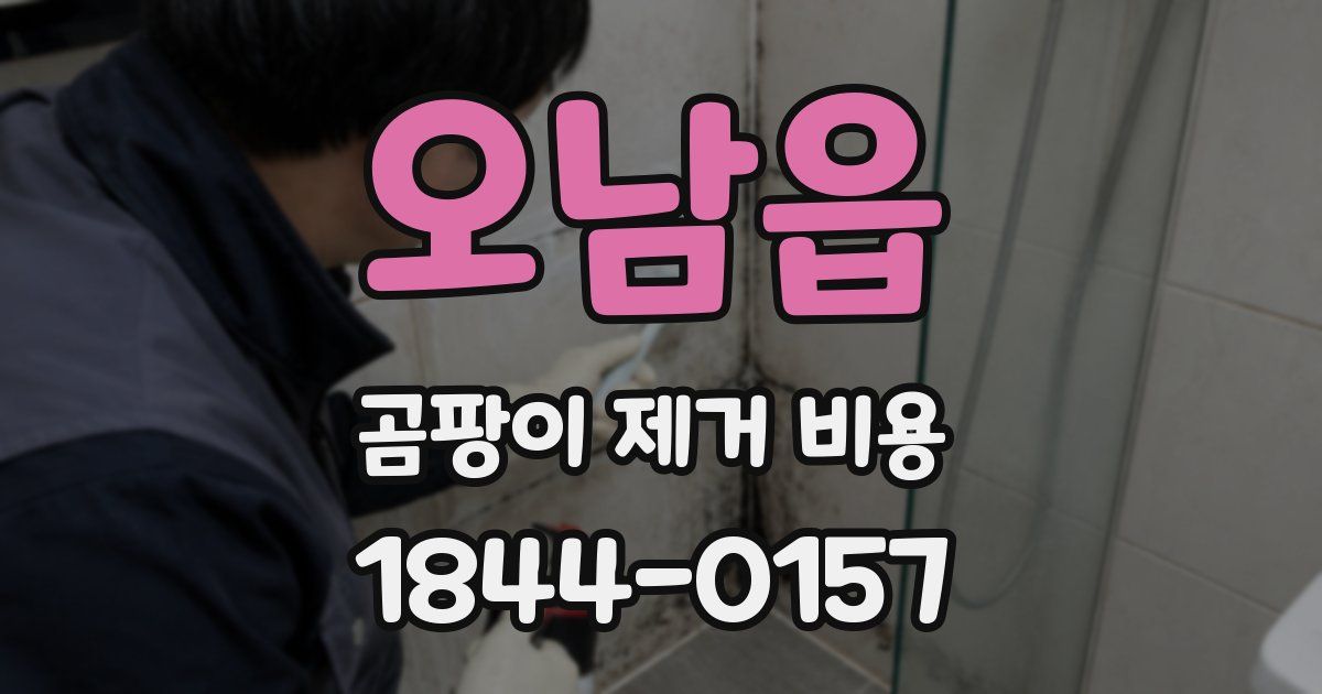 오남읍 곰팡이 제거 비용