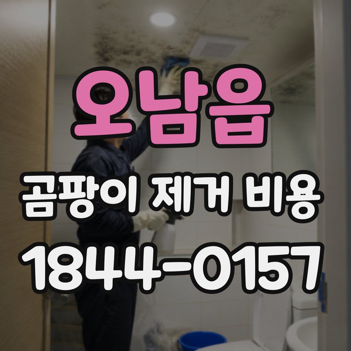 오남읍 곰팡이 제거 비용