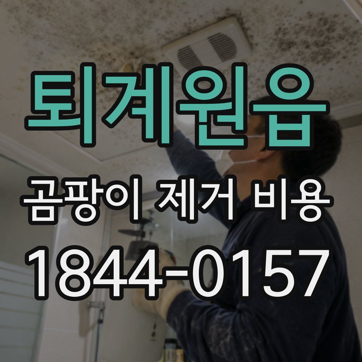퇴계원읍 곰팡이 제거 비용