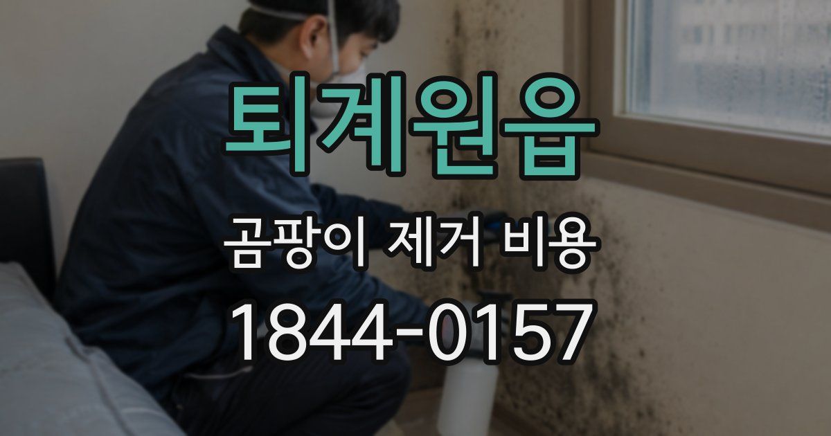 퇴계원읍 곰팡이 제거 비용
