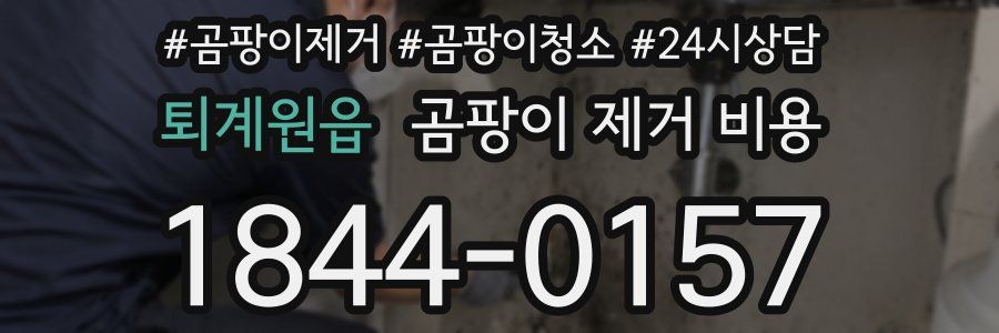 퇴계원읍 곰팡이 제거 비용