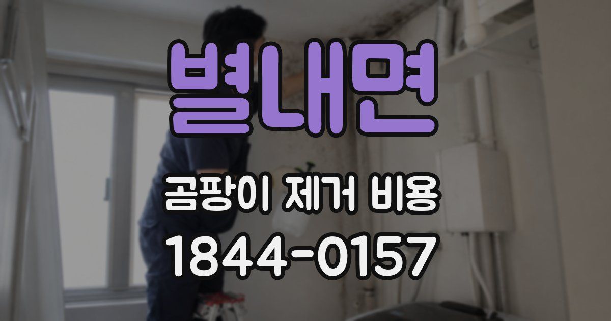 별내면 곰팡이 제거 비용