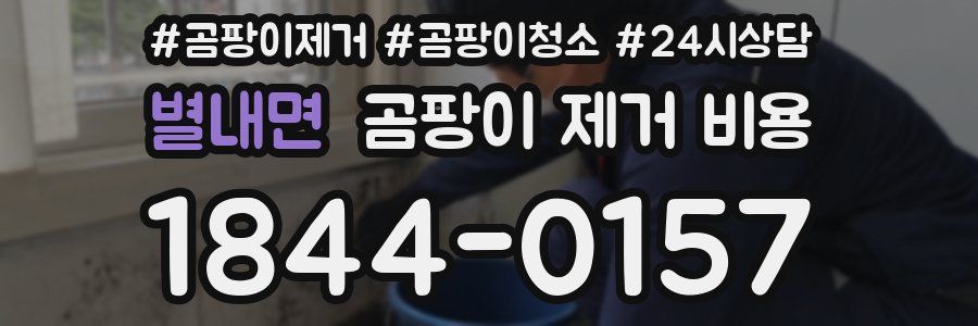 별내면 곰팡이 제거 비용
