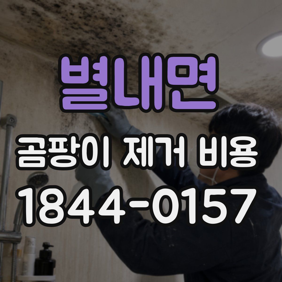 별내면 곰팡이 제거 비용