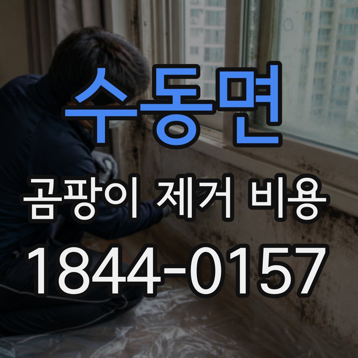수동면 곰팡이 제거 비용
