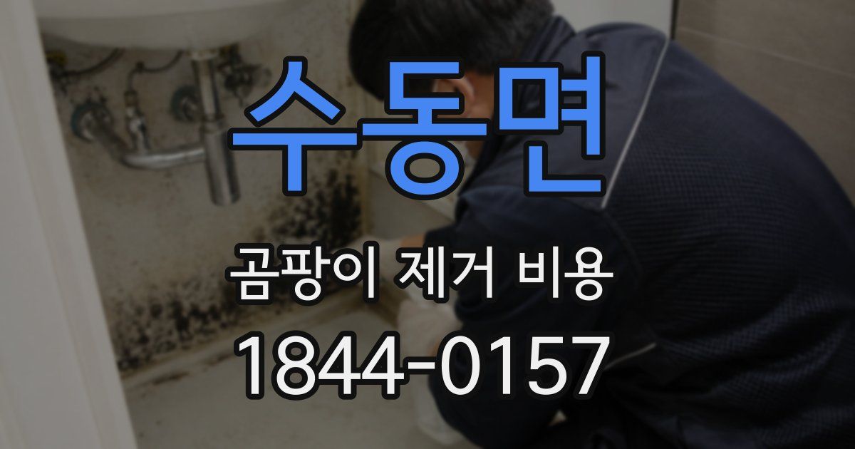 수동면 곰팡이 제거 비용