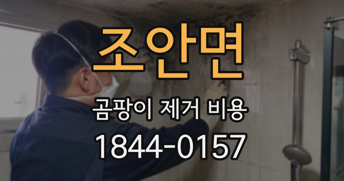 조안면 곰팡이 제거 비용
