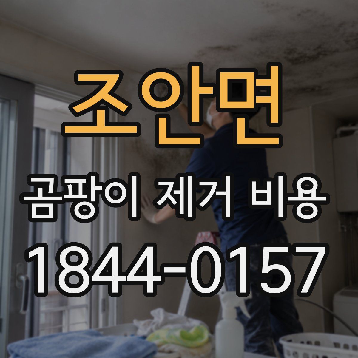 조안면 곰팡이 제거 비용