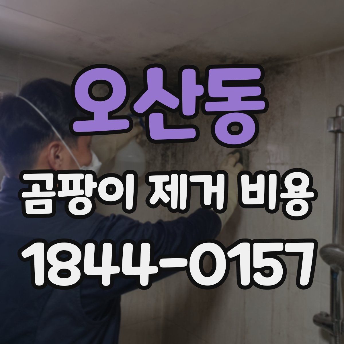오산동 곰팡이 제거 비용 벽지와 천장 시공별 차이 살펴보기