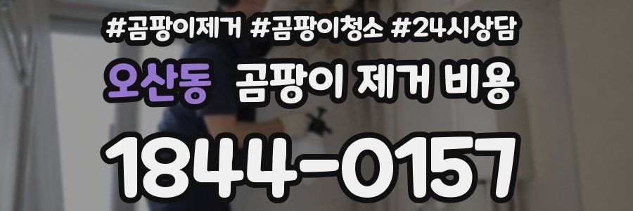 오산동 곰팡이 제거 비용
