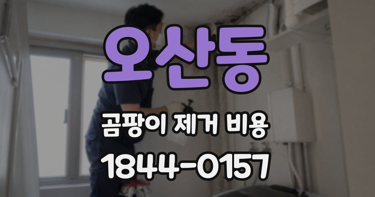오산동 곰팡이 제거 비용