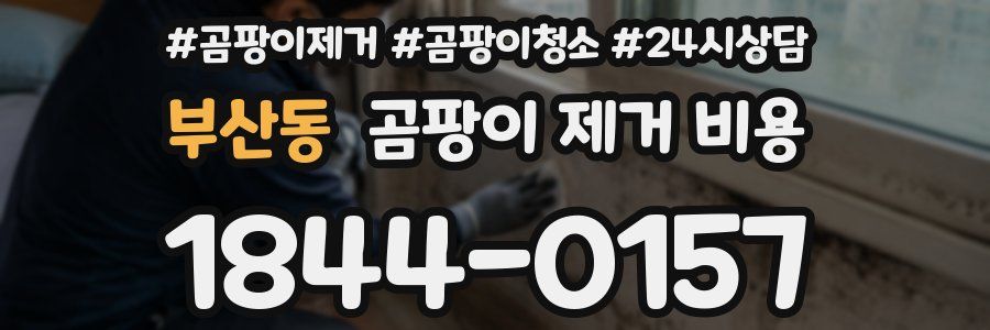 부산동 곰팡이 제거 비용