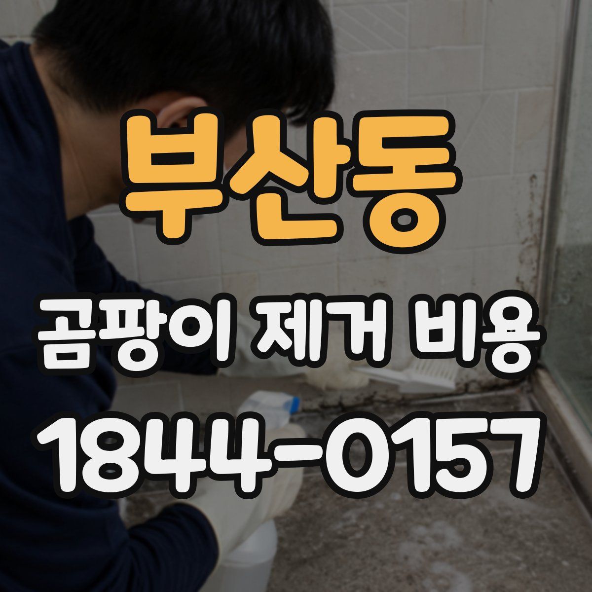 부산동 곰팡이 제거 비용