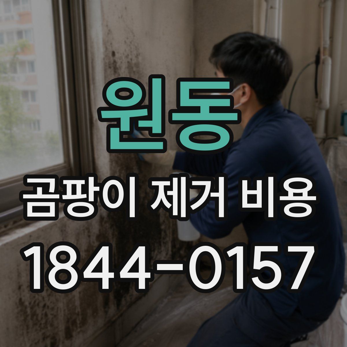 원동 곰팡이 제거 비용