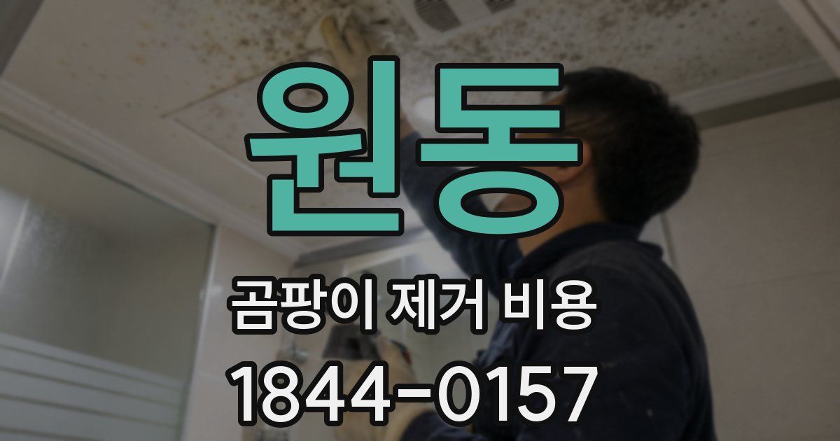 원동 곰팡이 제거 비용