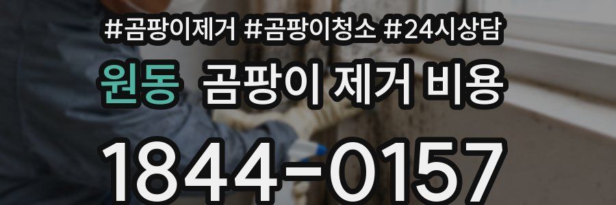 원동 곰팡이 제거 비용