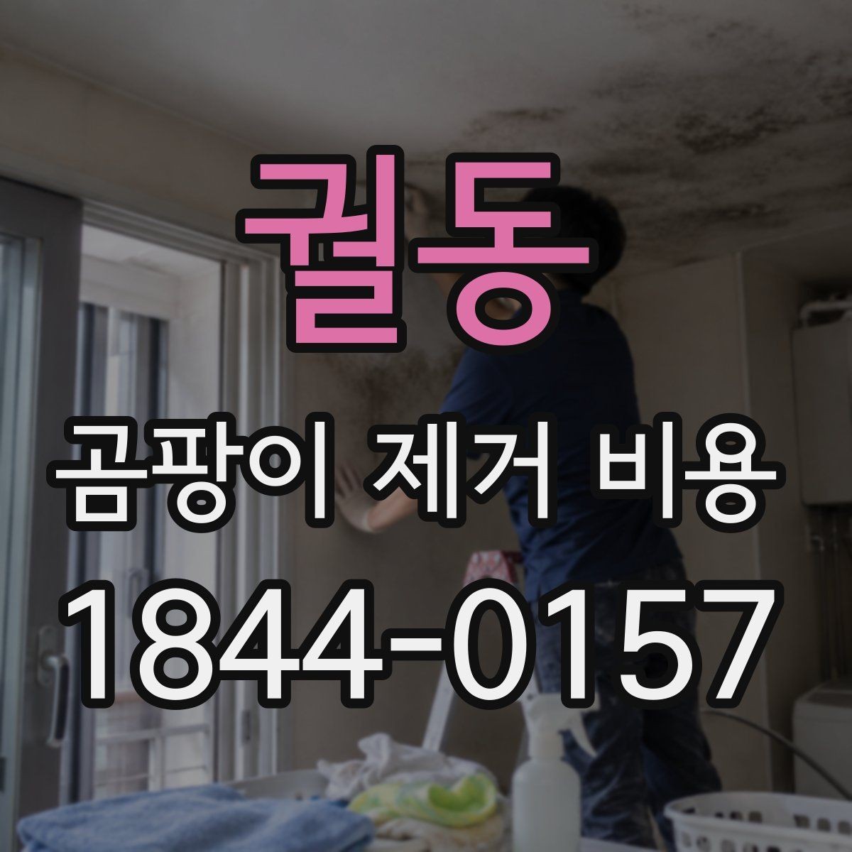 궐동 곰팡이 제거 비용 부분 시공으로 줄일 수 있는 오염 유형