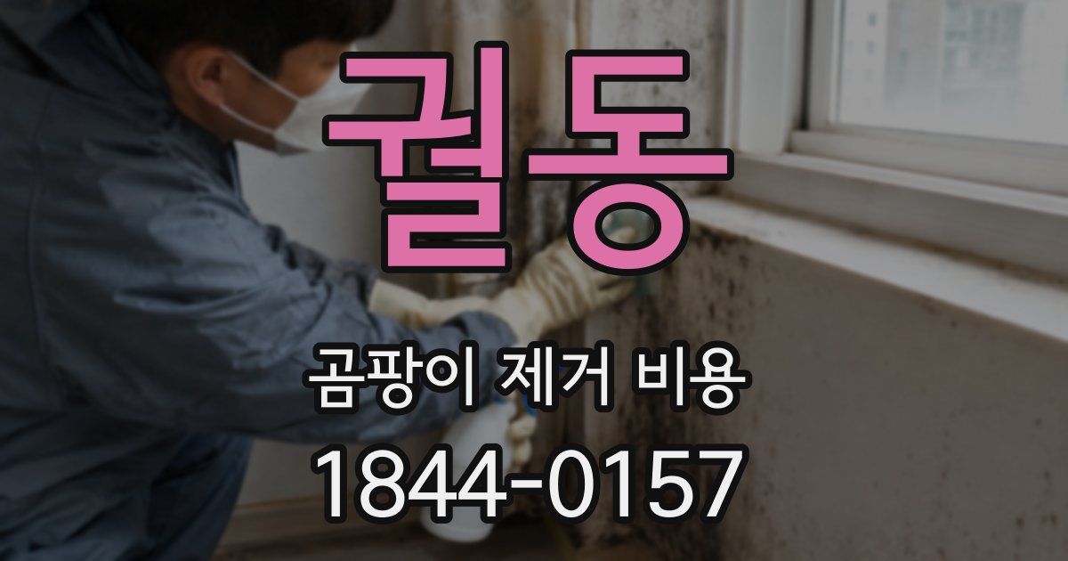 궐동 곰팡이 제거 비용