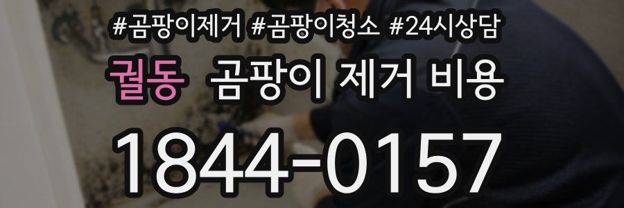 궐동 곰팡이 제거 비용