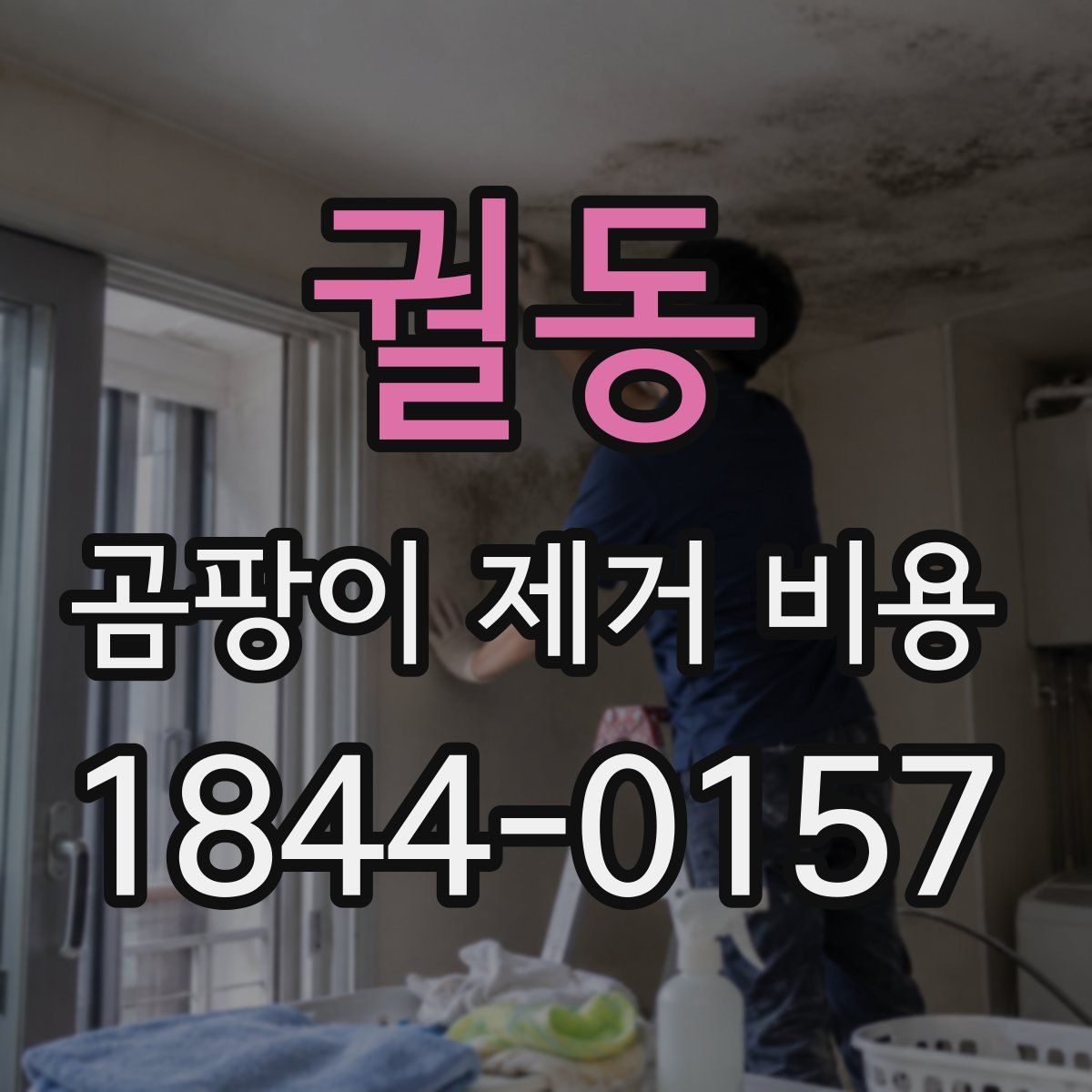 궐동 곰팡이 제거 비용