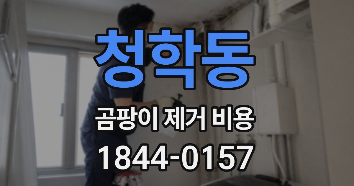 청학동 곰팡이 제거 비용