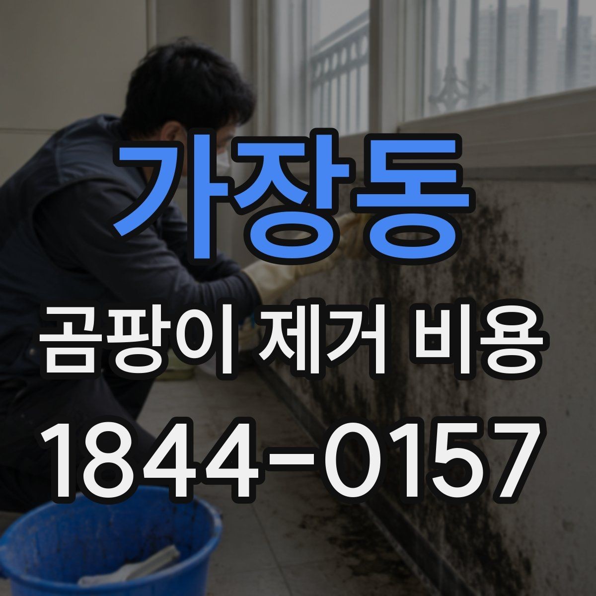 가장동 곰팡이 제거 비용 결로가 반복되는 집의 견적 포인트