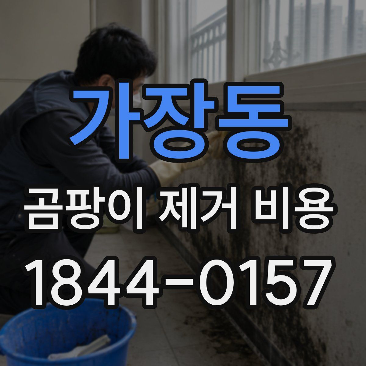 가장동 곰팡이 제거 비용