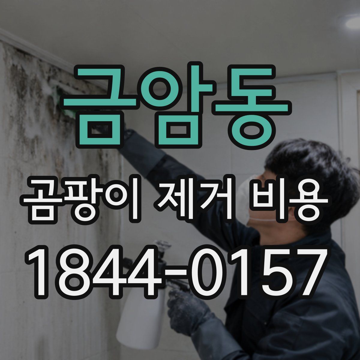 금암동 곰팡이 제거 비용