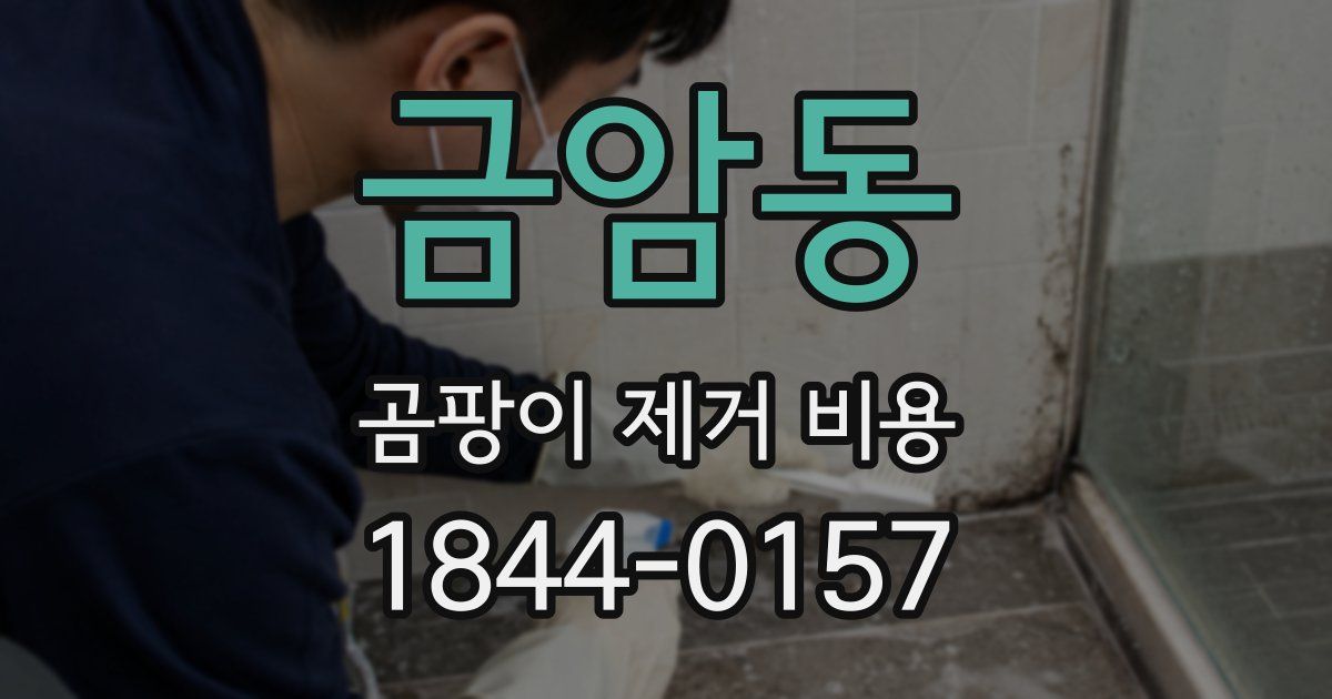 금암동 곰팡이 제거 비용