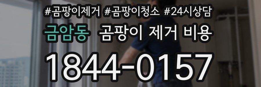 금암동 곰팡이 제거 비용