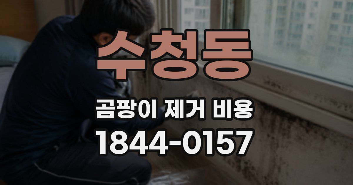 수청동 곰팡이 제거 비용