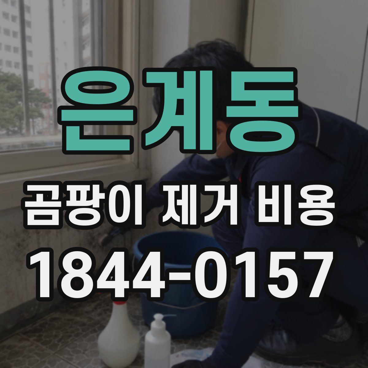 은계동 곰팡이 제거 비용