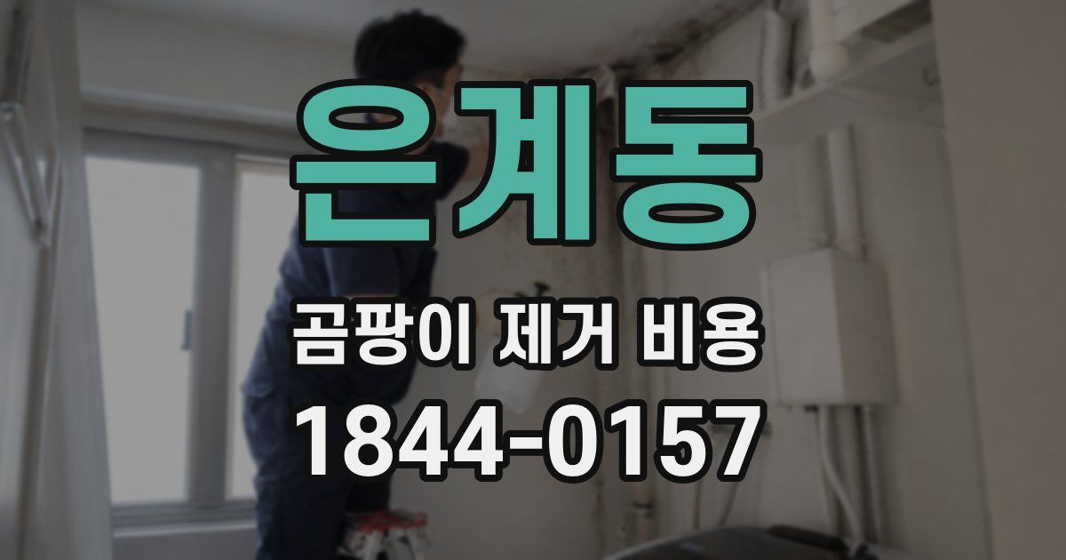 은계동 곰팡이 제거 비용