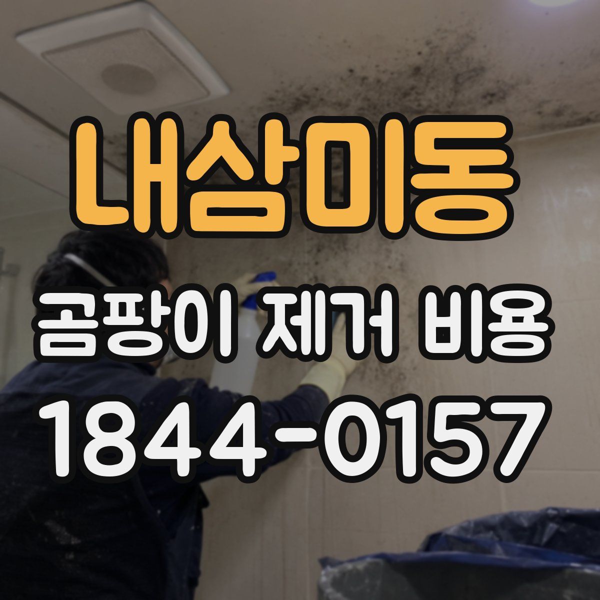 내삼미동 곰팡이 제거 비용